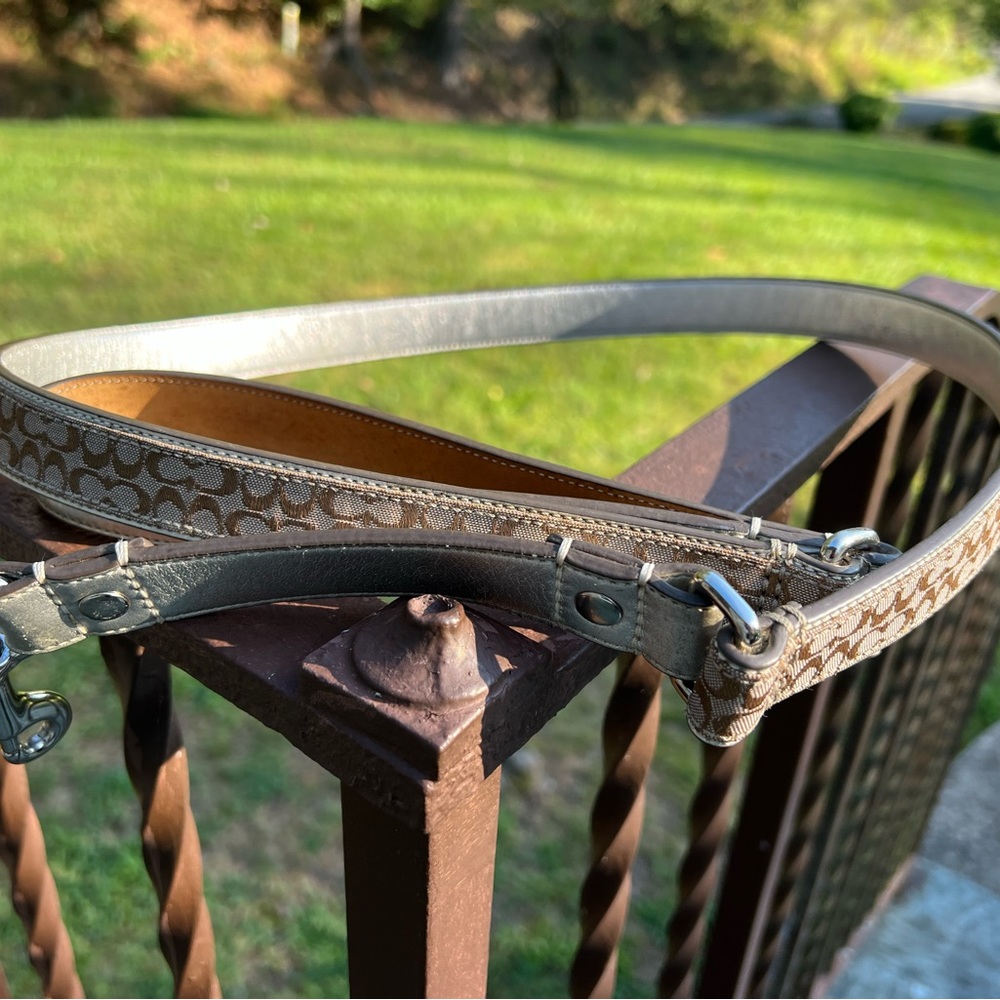Gold Coach Dog Leash (size Large)